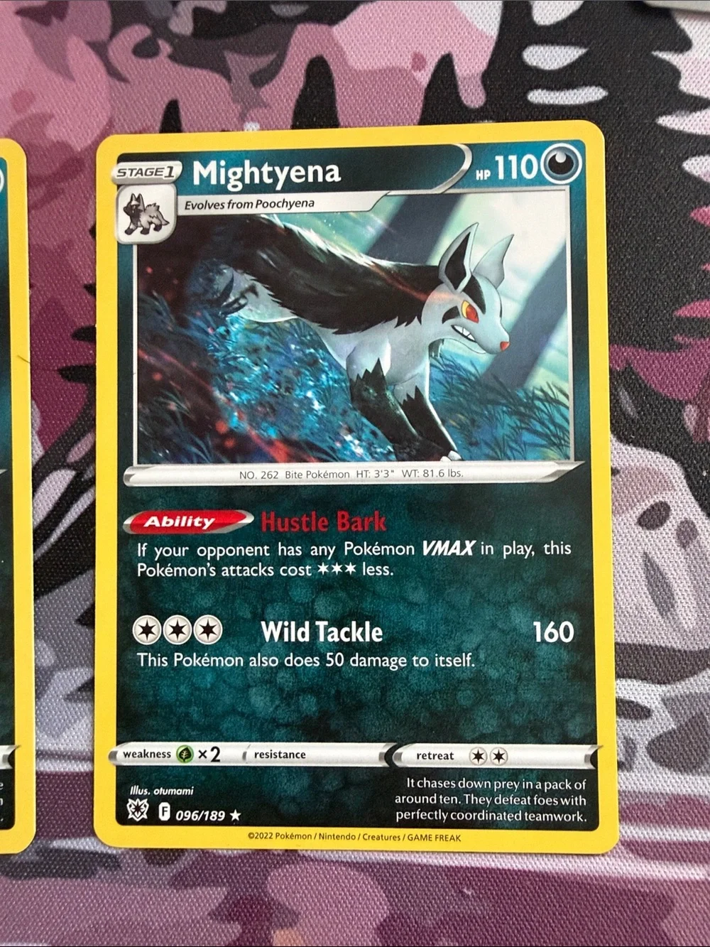 Poochyena & Mightyena Evolution Lot | Temporal Forces + Astral Radiance| ✨5/$25✨